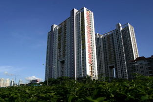 惠州市花樣年房地產(chǎn)開發(fā) 城市變遷的見證者與推動(dòng)者